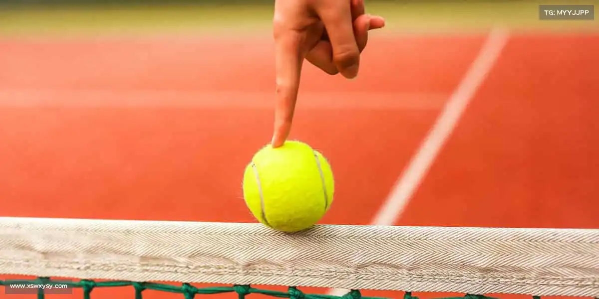 为什么选择我们